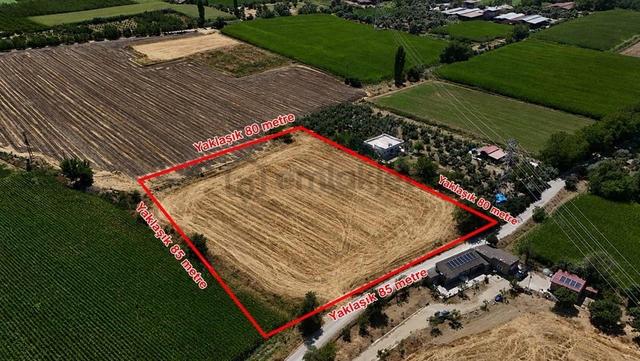 Pek Emlaktan Tire Ye 1400 Metre Mesafede Satılık Kupon Arazi 1