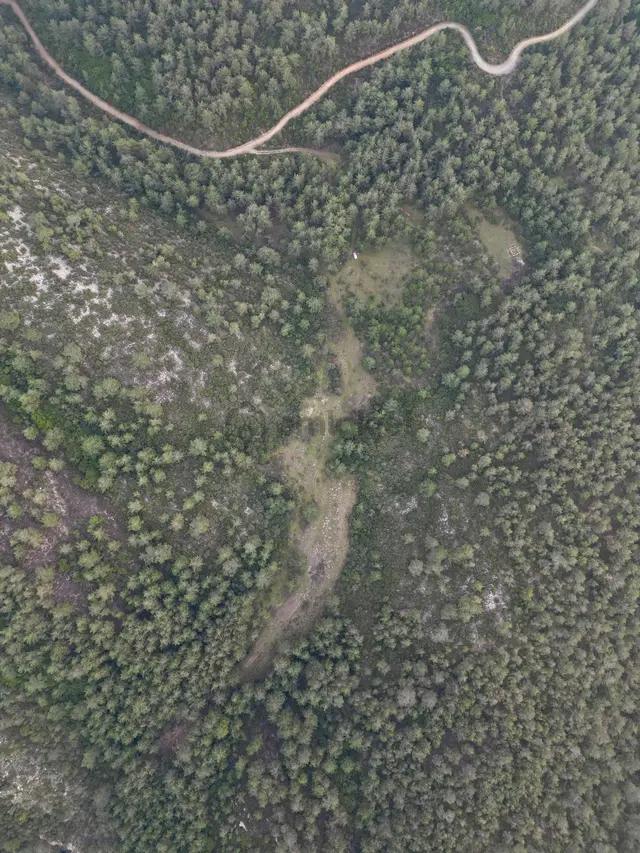 Milas Yusufcada 52.400 M2 Kaçırılmayacak Tarla Fırsatı! 4