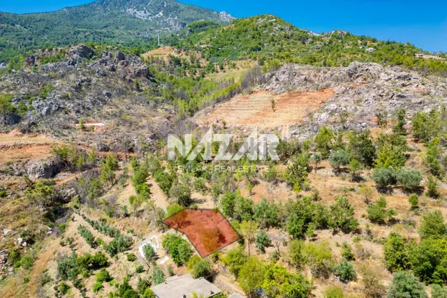Alanya Yaylakonak’ta Satılık 353 M² Tarla 3