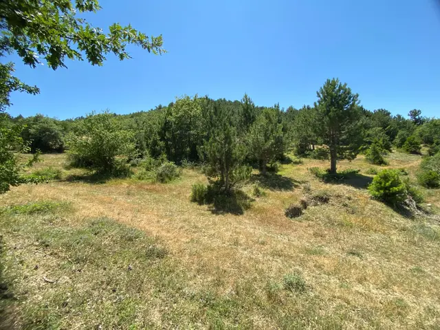 Dışdedeler Köyünde Asfalt Kenarı Harika Manzaralı 3.295 M2 Tarla 4