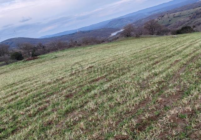 Mir'den Balıkesir Kırmızılar Mahallesi'n De 7.713m2 Tarla 4