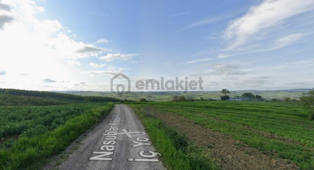 Adapazarı 15 Temmuz Camile De 4705m2 Bugün Tarla Yarın İse Arsa 2