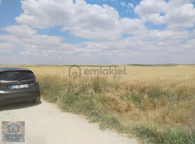 Çınaray Dan Çifteler Anayoluna 1 Parsel 55.0000 M2'' 5