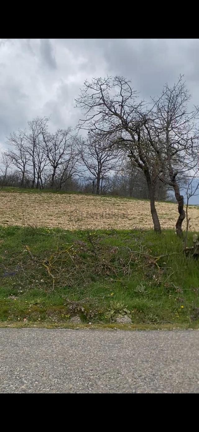 Sahibinden Bolu Mudurnu Da Satılık Ana Cadde Üzeri 2