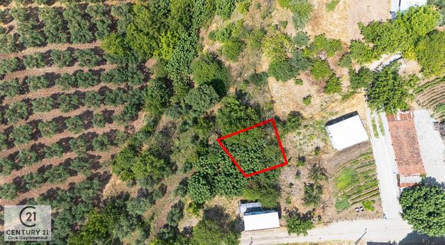 C21 Cius;gemlik Yeniköy'de Köy İçinde Satılık Bahçe 1