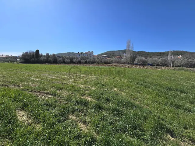 Muğla Kavaklıdere Çayboyu Mah. Satılık İmarlı Arsa 1