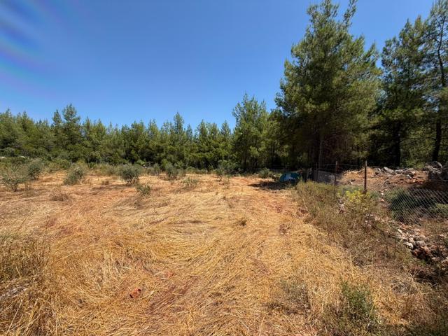 Kepez Kızıllı'da 3.826 M2 Rızai Taksimli Yolu Açılmış 2b Tarla 4