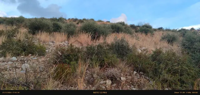 Gökova,muğla İli,milas İlçesi,türkevleri Mah Mah.denize Yakın&köy İçi 8.368 M2 Satılık 4