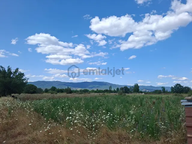Kazdağları Akçakoyun Kaçırmayın 2