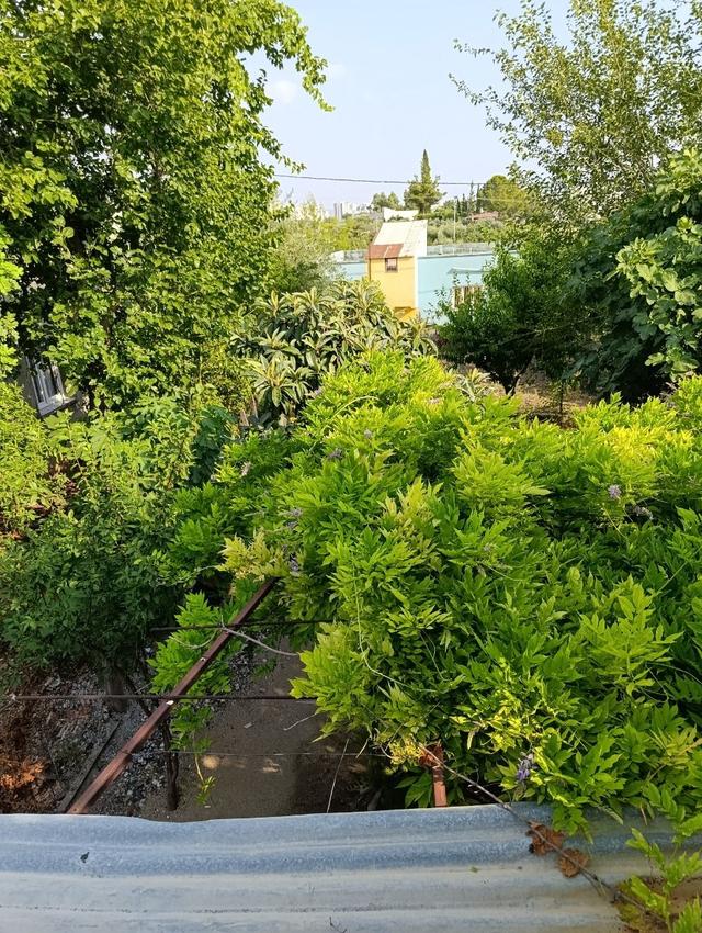 Anadolu Gayrimenkulden Hacı Mirzalı Da Satılık 3+1 Müstakil Ev 5