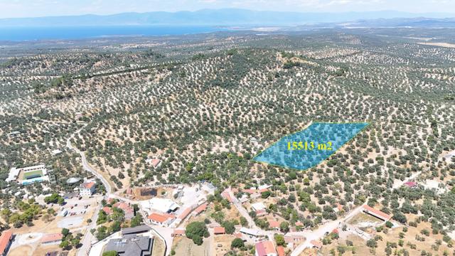 Mutlu'köye Sıfır Köy İçinde Fırsat Resmi Yolu Bulunan Zeytinlik 1