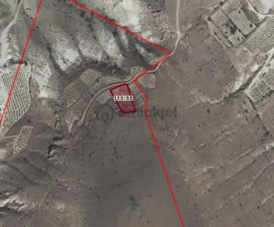 Ürgüp Ulaşlı Köyü’nde Satılık 1.464 M² Bağ 3