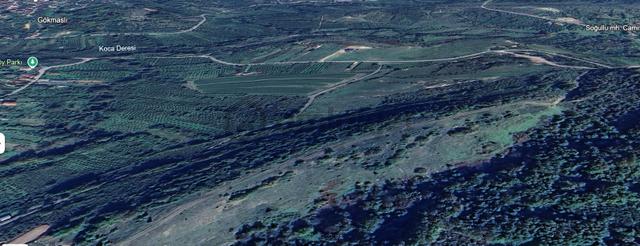 Şile Ağva Soğulu'da 3 Parsel Birleşik8670m2 Satılık Arazi 4