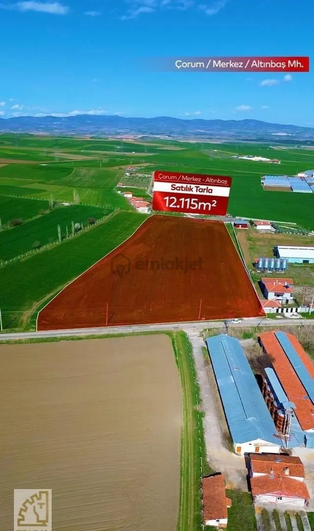 Truva'dan Çorum-merkez Altınbaşta Anayola Cephe Yatırımlık Tarla 3