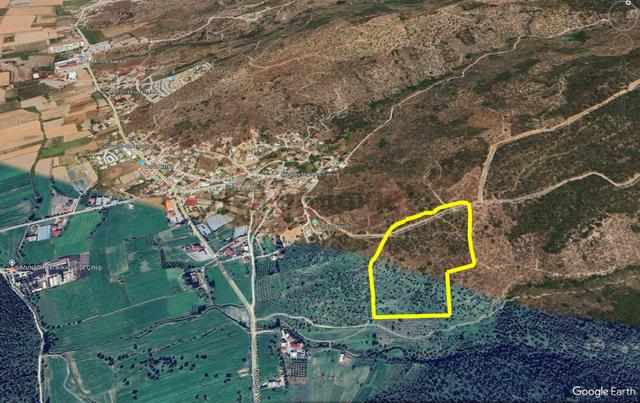 Bodrum-milas Aksında 45 Dönüm | Havalimanına 9,1 Km | Fırsat Arazi 5