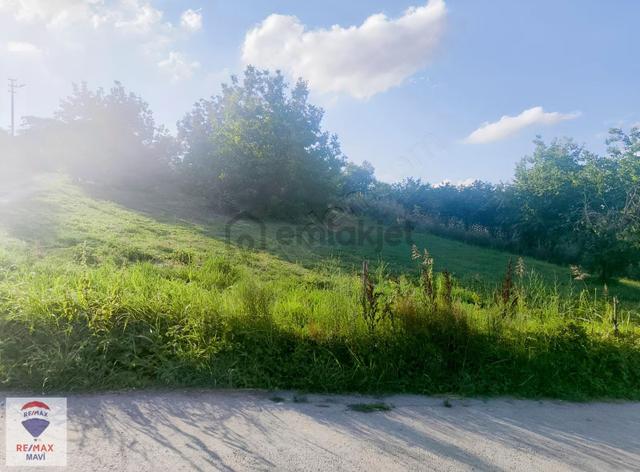 Serdivan Çubuklu'da 1.498 M² Köy İmarlı Arsa | Altyapısı Hazır 5