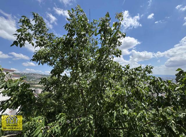 Akçakoca Toki Konutları Şehir Manzaralı 3+1 Arakat Satılık Daire 5