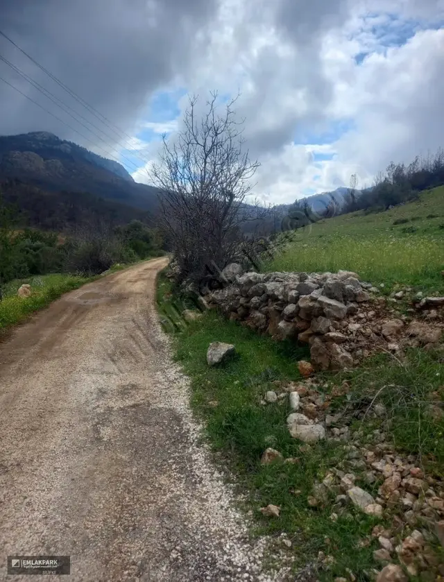 Emlakparkdan İmamuşağı Mah. Çatakkoyağı Mevki Satılık 4.281 M2 2