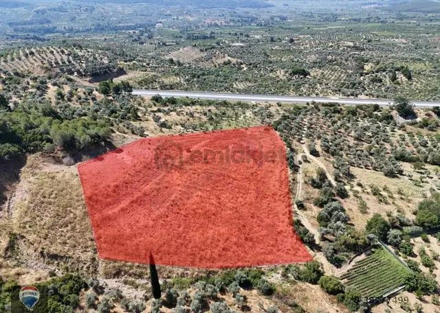 Havutçulu’da Su Potansiyelli , Çevrili , Yola Yakın Büyük Tarım Arazisi 4