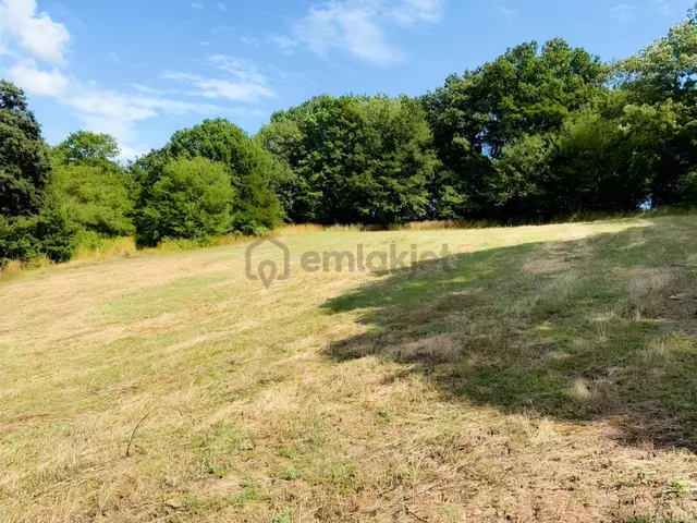 İzmit Kaynarca Topallar Mevki 119/181 Satılık 351m2 Tarla 4