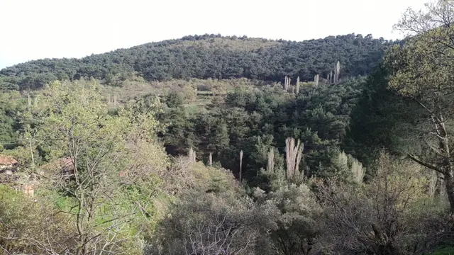 Harika Doğa İçinde Köy Evi 3