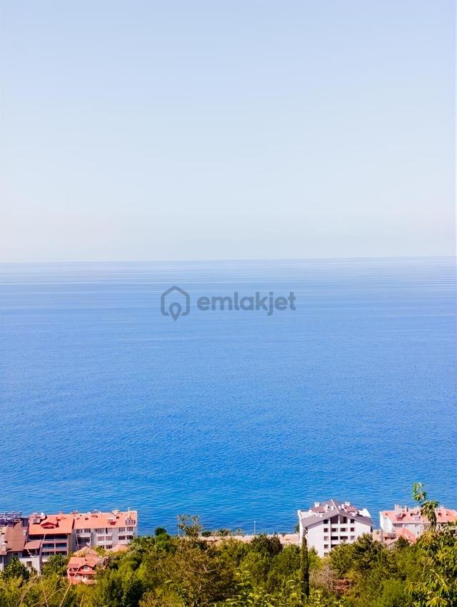 Yine *zeybek*den / 486 M2 +villa+ Konut İmarli Arsa ( İnebolu) 1