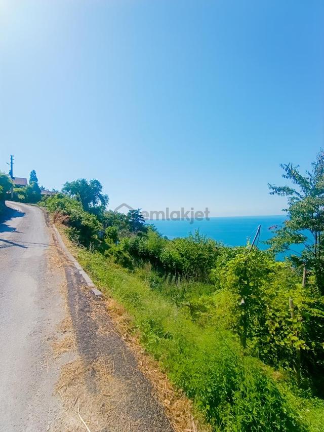 Yine *zeybek*den / 486 M2 +villa+ Konut İmarli Arsa ( İnebolu) 5