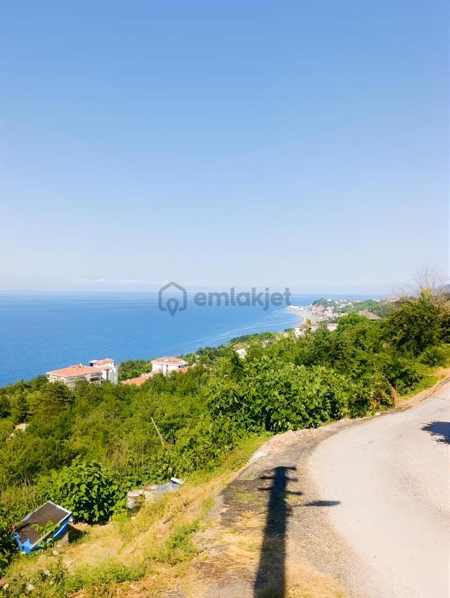 Yine *zeybek*den / 486 M2 +villa+ Konut İmarli Arsa ( İnebolu) 3