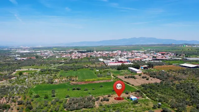 Kemalpaşa Halilbeylide Satılık 3000 M2 Bahçe 50 M2 Ev 5
