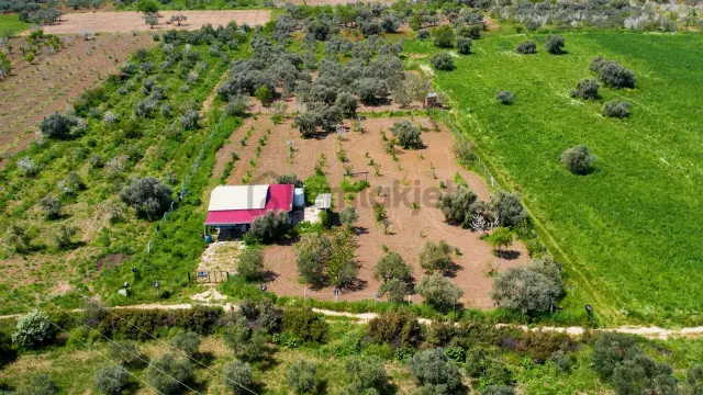 Kemalpaşa Halilbeylide Satılık 3000 M2 Bahçe 50 M2 Ev 3