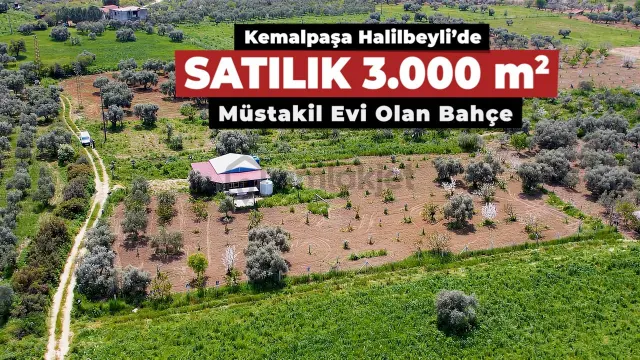 Kemalpaşa Halilbeylide Satılık 3000 M2 Bahçe 50 M2 Ev 1