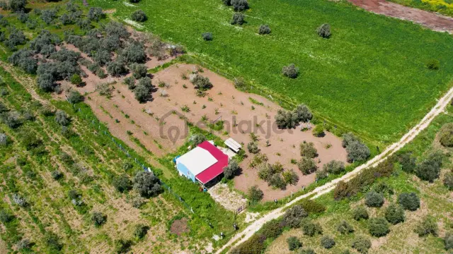 Kemalpaşa Halilbeylide Satılık 3000 M2 Bahçe 50 M2 Ev 3