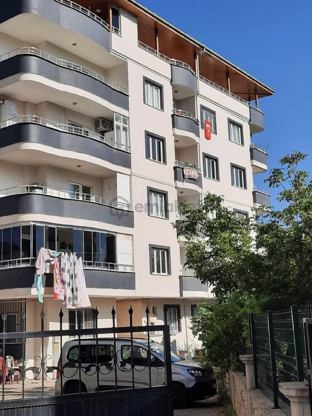 Harika Bir Daire 3
