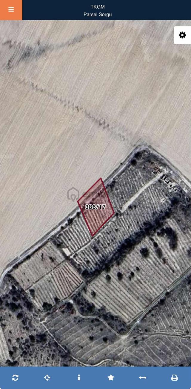 Niğde Bor Bahçelide Yola Cepheli Bağ | Yatırımlık Fırsat 1