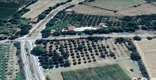 Ereğli Yıldızlı Mahallesi Yol Kenarı Satılık Tarla 3