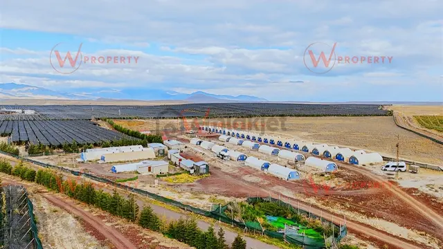 W Property'den Niğde Bor'da 2.291 Dönüm Elma Bahçesi 2