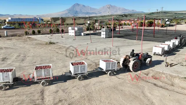 W Property'den Niğde Bor'da 2.291 Dönüm Elma Bahçesi 4
