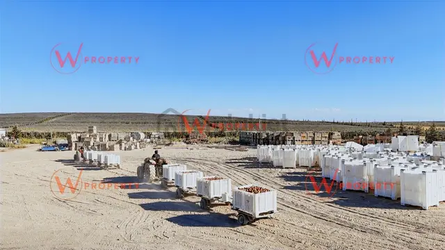 W Property'den Niğde Bor'da 2.291 Dönüm Elma Bahçesi 3