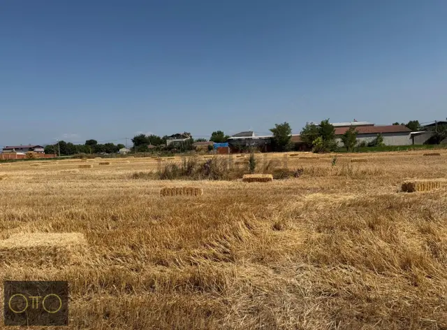 Otto Gayrımenkul Yolçatı En Uygun Arsa