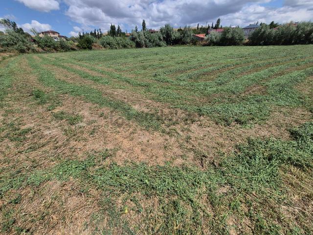 Satılık Köy İçerisinde Tarla Suluova Kolay Köyü 4