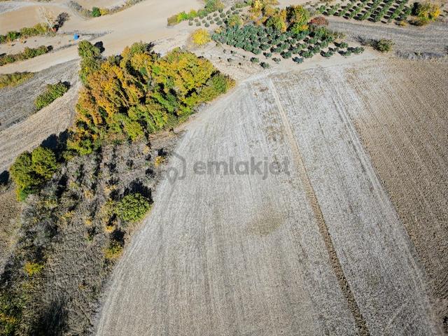 Bursa, Nilüfer Çaylı Da Satılık 11.600 M2 Arazi 2