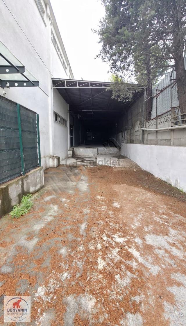 Pendik Kurtköy Sanayi Bölgesinde 5 Rampalı 4500 M2 Kiralık Depo 2