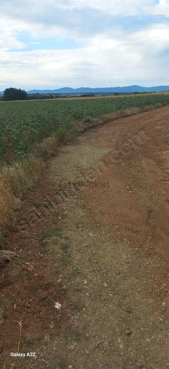 Vize Doğancada Asfalt Yola Sınır 4.180 M2 Yatırımlık Arazi 2
