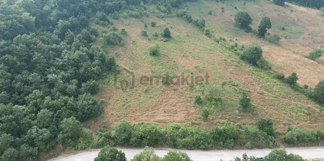10.928 M2 Resmi Yolu Olan Tarla Bu Fiyata Yok... Son Fiyat 620.000 Tl Çok Acele 3