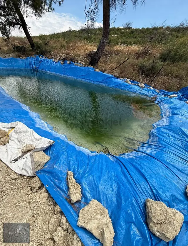 Beyaz Yaka'dan Karatekeli Mah. Satılık Zeytinlik 2