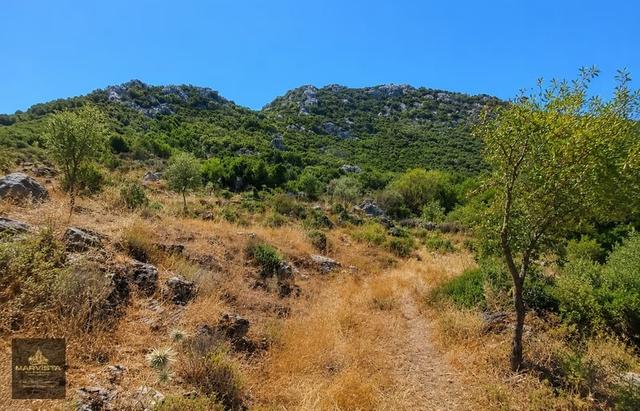 Marmaris Selimiye Köyü'nde Acil Satılık Arazi 4
