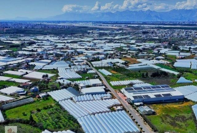 Aksu Hacıalilerde Antalya-alanya Yoluna Yakın Fırsat Tarla 1