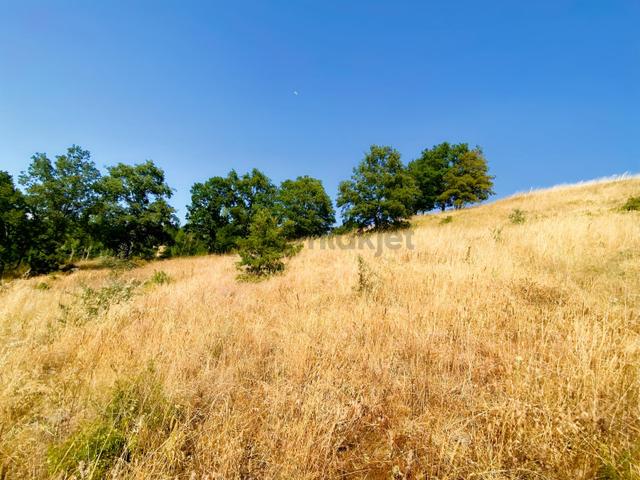 Novadan Kepsut İsaalan Mh.da Uygun Fiyat Yatırımlık 5688m² Tarla 2
