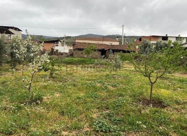 Aydın Yenipazar Donduranda 1.079 M2 Müstakil Tapulu, 2+1 Ev 3