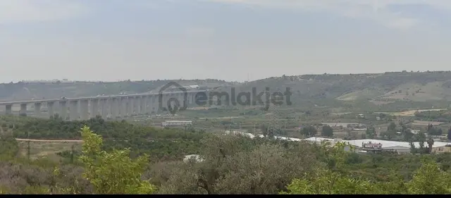 Fa Emlaktan Çavakta Takaslı Satılık 18.600m2 Bahçe 2